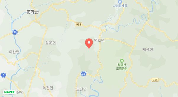 별빛뜰애