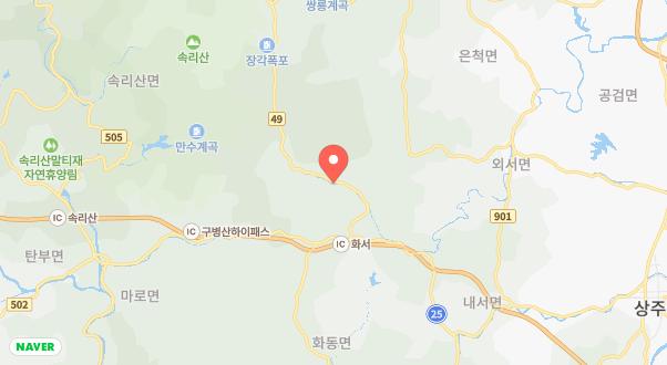 돌고래 오토 캠핑장