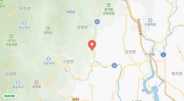 대포숲캠핑장