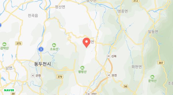 타이니포춘