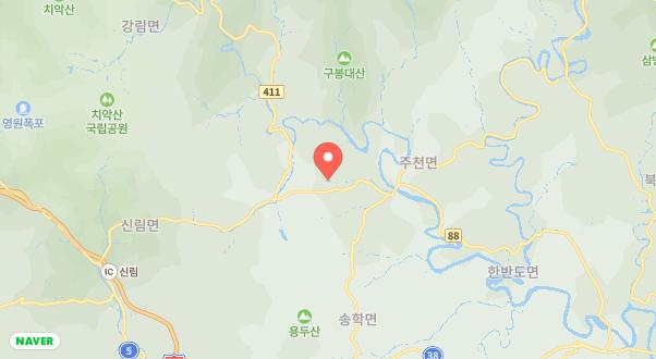 힐링인더 포레스트