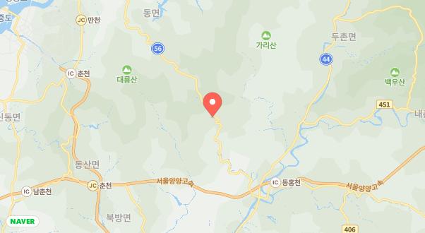 숲에서 놀자